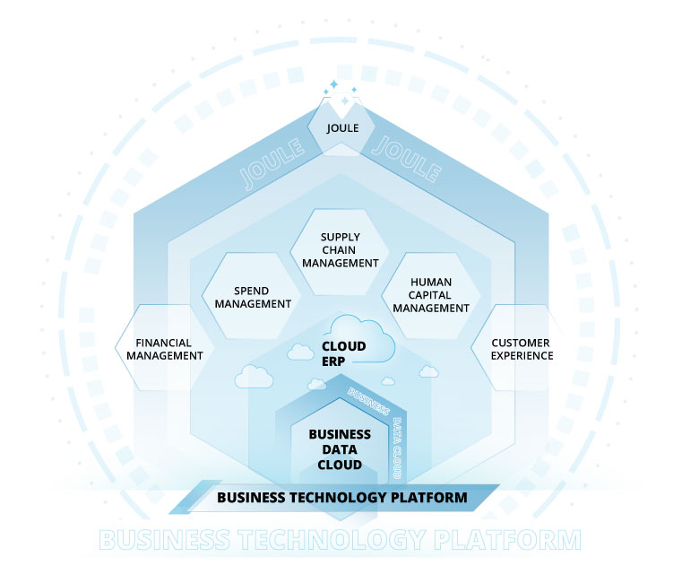 SAP Business Suite Big Picture SAP Business Suite